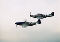 Click to see larger image