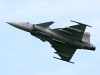 Swedish Gripen - photo by Webmaster.