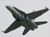Swiss F/A-18C - photo by Webmaster