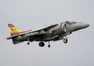 Spanish Harrier.